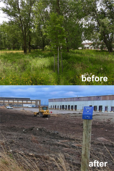Before and after photo showing mature trees in a field of tall grass (before) and bulldozers in a field of mud (after)